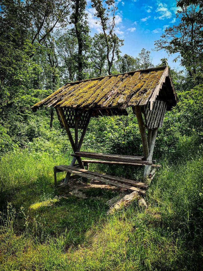 Gaestehaus An Der Berbke Άρνσμπεργκ Εξωτερικό φωτογραφία